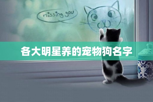 各大明星養的寵物狗名字