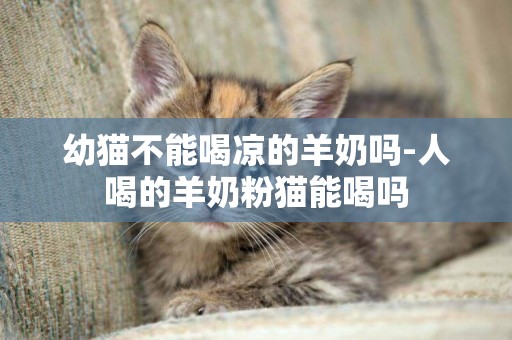 幼貓不能喝涼的羊奶嗎-人喝的羊奶粉貓能喝嗎