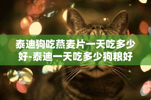 泰迪狗吃燕麥片一天吃多少好-泰迪一天吃多少狗糧好