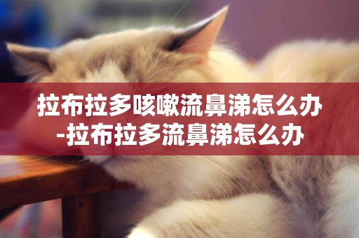 拉布拉多咳嗽流鼻涕怎么辦-拉布拉多流鼻涕怎么辦