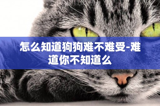 怎么知道狗狗難不難受-難道你不知道么