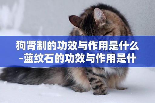 狗腎制的功效與作用是什么-藍紋石的功效與作用是什么