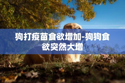 狗打疫苗食欲增加-狗狗食欲突然大增
