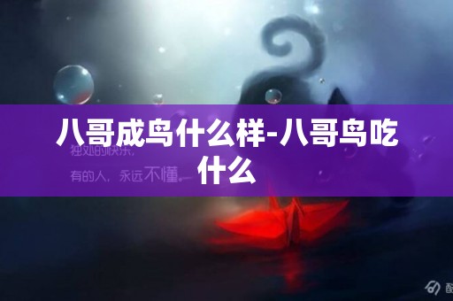 八哥成鳥什么樣-八哥鳥吃什么