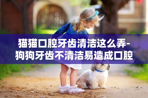 貓貓口腔牙齒清潔這么弄-狗狗牙齒不清潔易造成口腔問題