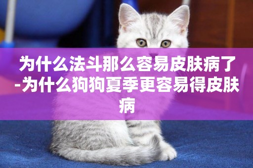 為什么法斗那么容易皮膚病了-為什么狗狗夏季更容易得皮膚病