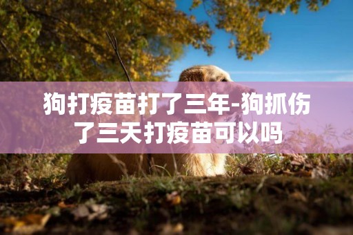 狗打疫苗打了三年-狗抓傷了三天打疫苗可以嗎