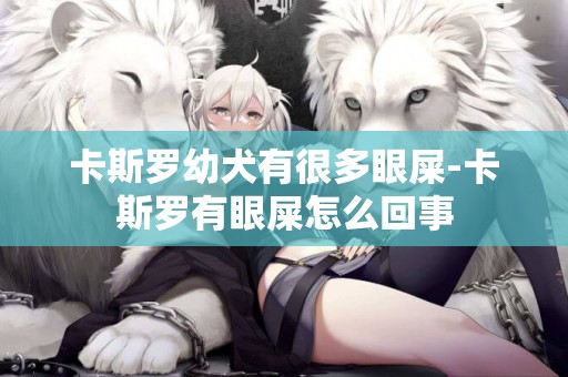 卡斯羅幼犬有很多眼屎-卡斯羅有眼屎怎么回事