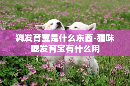 狗發育寶是什么東西-貓咪吃發育寶有什么用