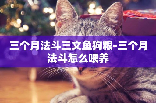 三個月法斗三文魚狗糧-三個月法斗怎么喂養