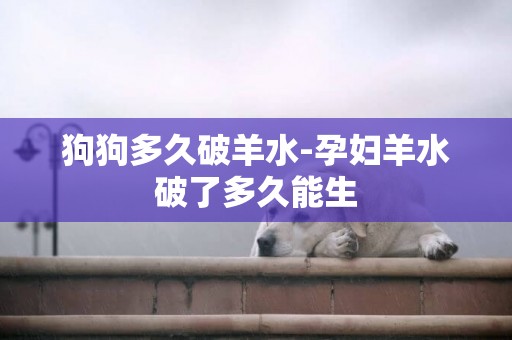 狗狗多久破羊水-孕婦羊水破了多久能生