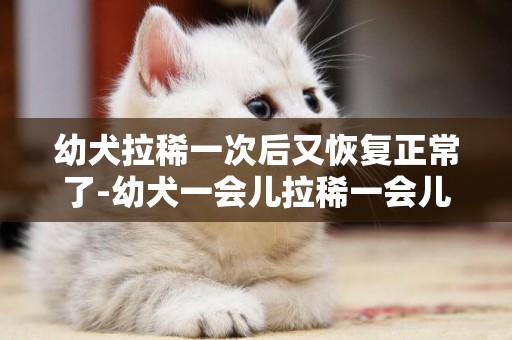 幼犬拉稀一次后又恢復正常了-幼犬一會兒拉稀一會兒正常