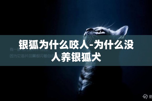 銀狐為什么咬人-為什么沒人養銀狐犬