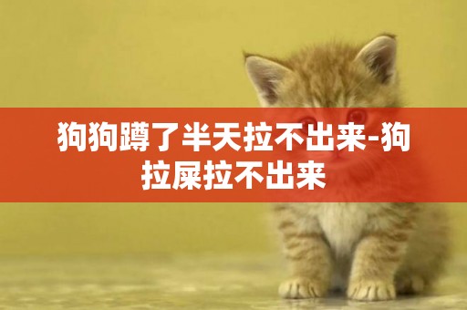 狗狗蹲了半天拉不出來-狗拉屎拉不出來