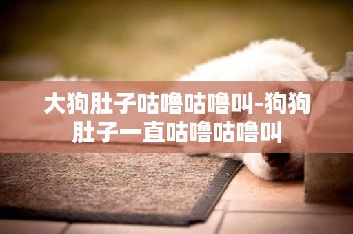 大狗肚子咕嚕咕嚕叫-狗狗肚子一直咕嚕咕嚕叫