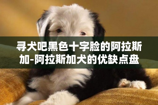 尋犬吧黑色十字臉的阿拉斯加-阿拉斯加犬的優缺點盤點