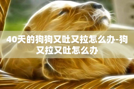 40天的狗狗又吐又拉怎么辦-狗又拉又吐怎么辦