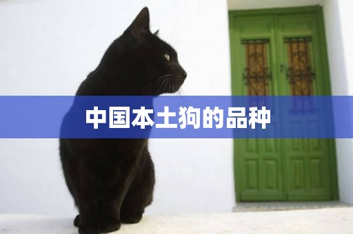 中國本土狗的品種