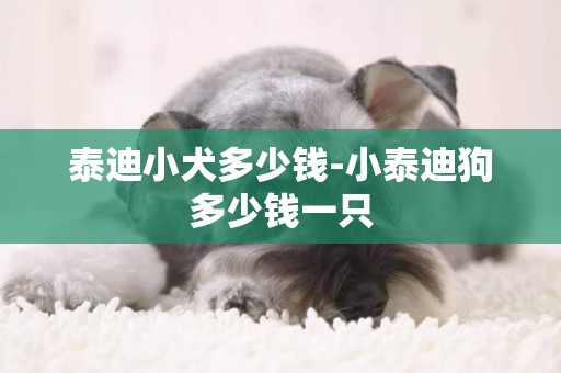 泰迪小犬多少錢-小泰迪狗多少錢一只