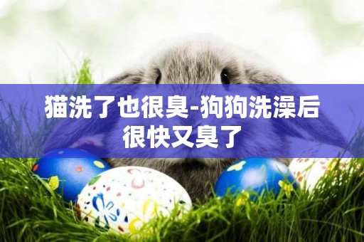 貓洗了也很臭-狗狗洗澡后很快又臭了
