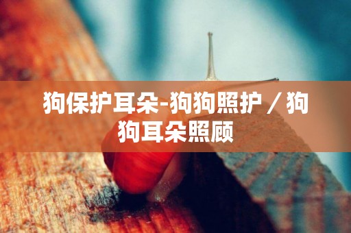狗保護耳朵-狗狗照護／狗狗耳朵照顧
