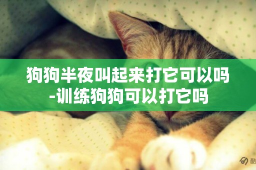 狗狗半夜叫起來打它可以嗎-訓練狗狗可以打它嗎