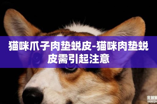 貓咪爪子肉墊蛻皮-貓咪肉墊蛻皮需引起注意