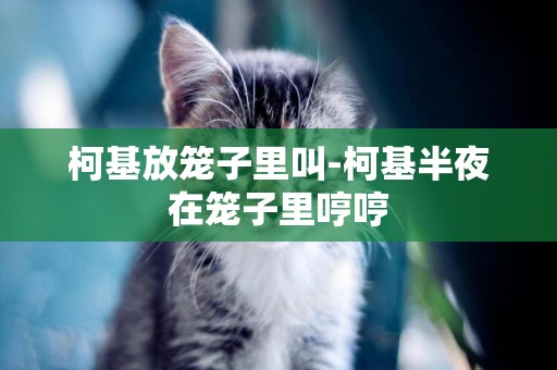 柯基放籠子里叫-柯基半夜在籠子里哼哼
