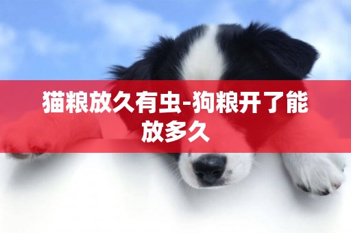 貓糧放久有蟲-狗糧開了能放多久