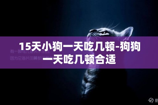 15天小狗一天吃幾頓-狗狗一天吃幾頓合適