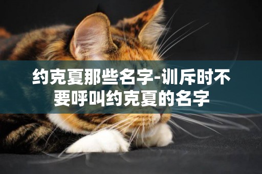 約克夏那些名字-訓斥時不要呼叫約克夏的名字