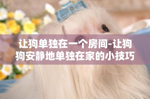 讓狗單獨在一個房間-讓狗狗安靜地單獨在家的小技巧