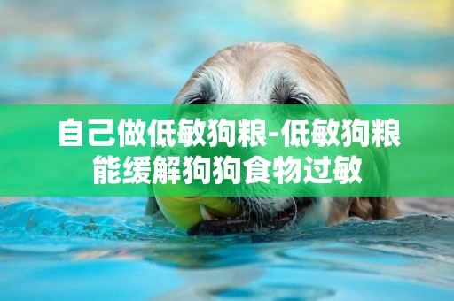自己做低敏狗糧-低敏狗糧能緩解狗狗食物過敏