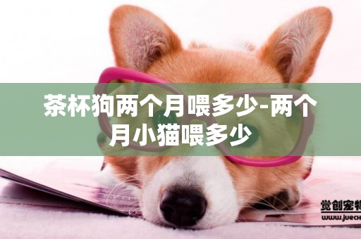 茶杯狗兩個月喂多少-兩個月小貓喂多少