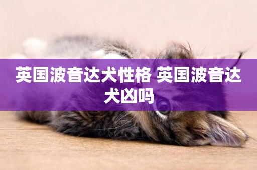 英國波音達犬性格 英國波音達犬兇嗎