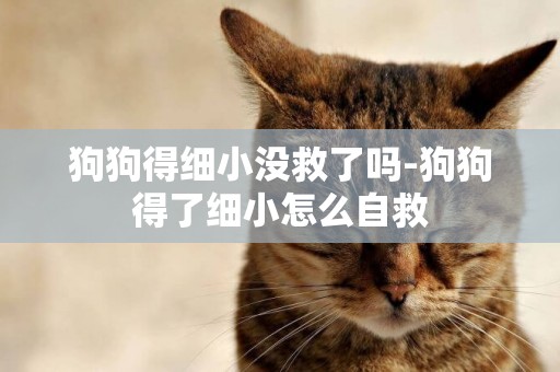 狗狗得細小沒救了嗎-狗狗得了細小怎么自救