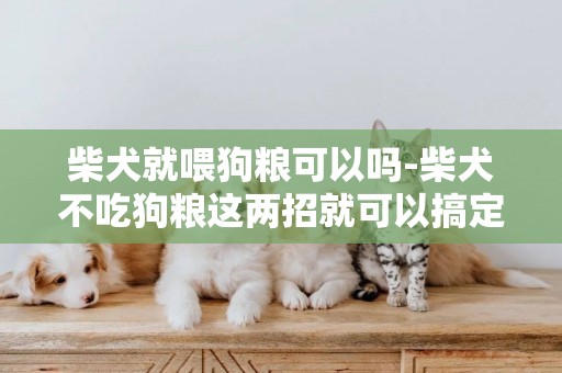 柴犬就喂狗糧可以嗎-柴犬不吃狗糧這兩招就可以搞定