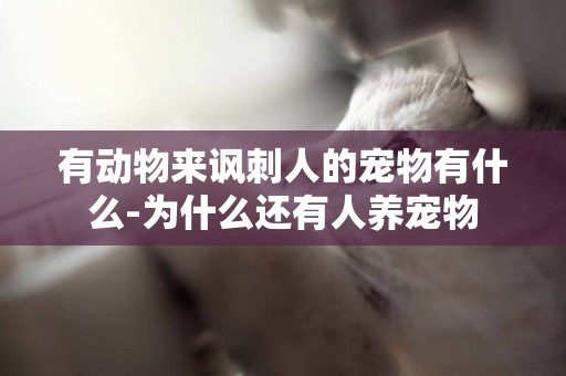 有動物來諷刺人的寵物有什么-為什么還有人養寵物