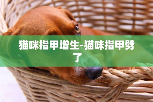 貓咪指甲增生-貓咪指甲劈了