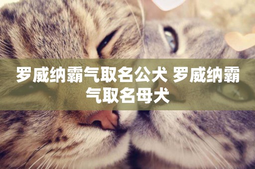 羅威納霸氣取名公犬 羅威納霸氣取名母犬