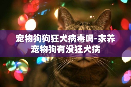 寵物狗狗狂犬病毒嗎-家養寵物狗有沒狂犬病