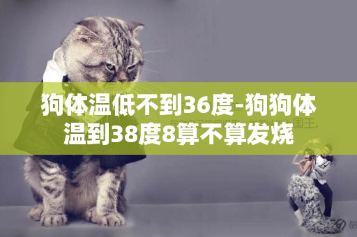 狗體溫低不到36度-狗狗體溫到38度8算不算發燒