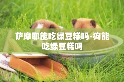 薩摩耶能吃綠豆糕嗎-狗能吃綠豆糕嗎