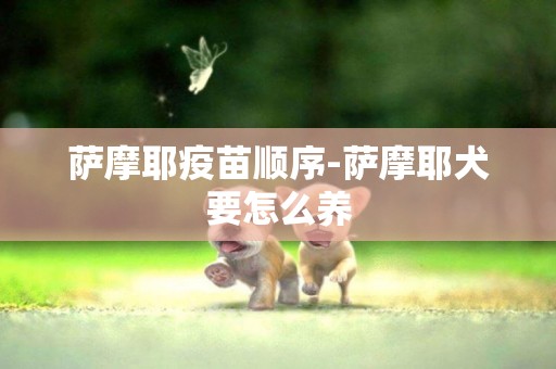 薩摩耶疫苗順序-薩摩耶犬要怎么養