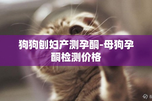 狗狗刨婦產測孕酮-母狗孕酮檢測價格