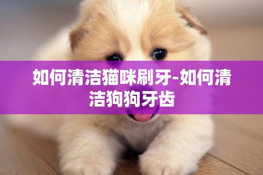 如何清潔貓咪刷牙-如何清潔狗狗牙齒