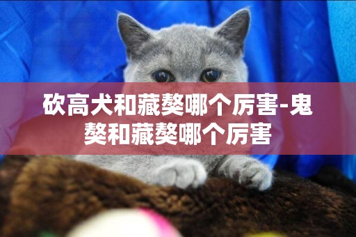 砍高犬和藏獒哪個厲害-鬼獒和藏獒哪個厲害