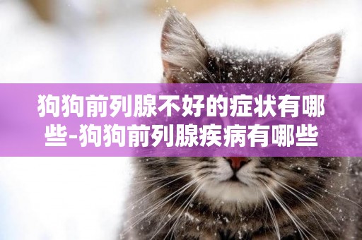 狗狗前列腺不好的癥狀有哪些-狗狗前列腺疾病有哪些