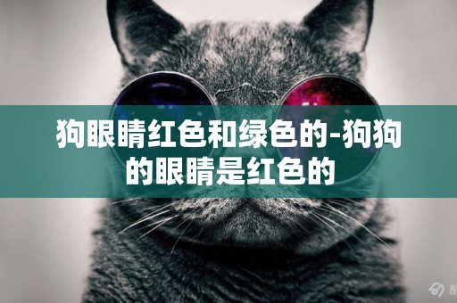 狗眼睛紅色和綠色的-狗狗的眼睛是紅色的