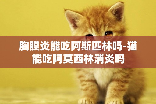 胸膜炎能吃阿斯匹林嗎-貓能吃阿莫西林消炎嗎
